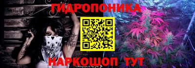 эйфоретик Гусь-Хрустальный